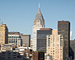 View Listing Details and Images