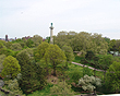 View Listing Details and Images