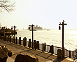 View Listing Details and Images