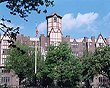 View Listing Details and Images