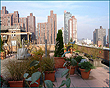 View Listing Details and Images
