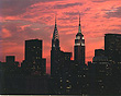 View Listing Details and Images