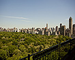 View Listing Details and Images