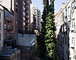 View Listing Details and Images