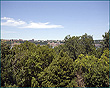 View Listing Details and Images