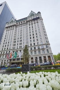768 FIFTH AVENUE