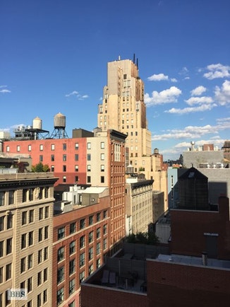 270 West 17th Street, Chelsea, NYC, $3,975, Web #: 17072819