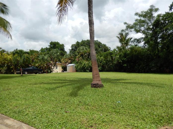 241 Edmor Road