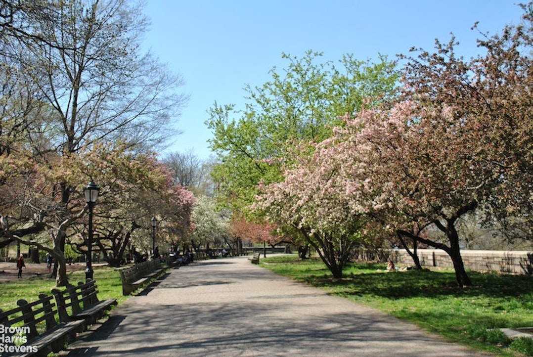 186 Riverside Drive Upper West Side New York NY 10024