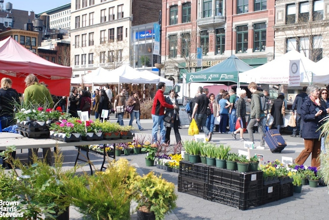 16 West 16th Street 5NS Flatiron District New York NY 10011