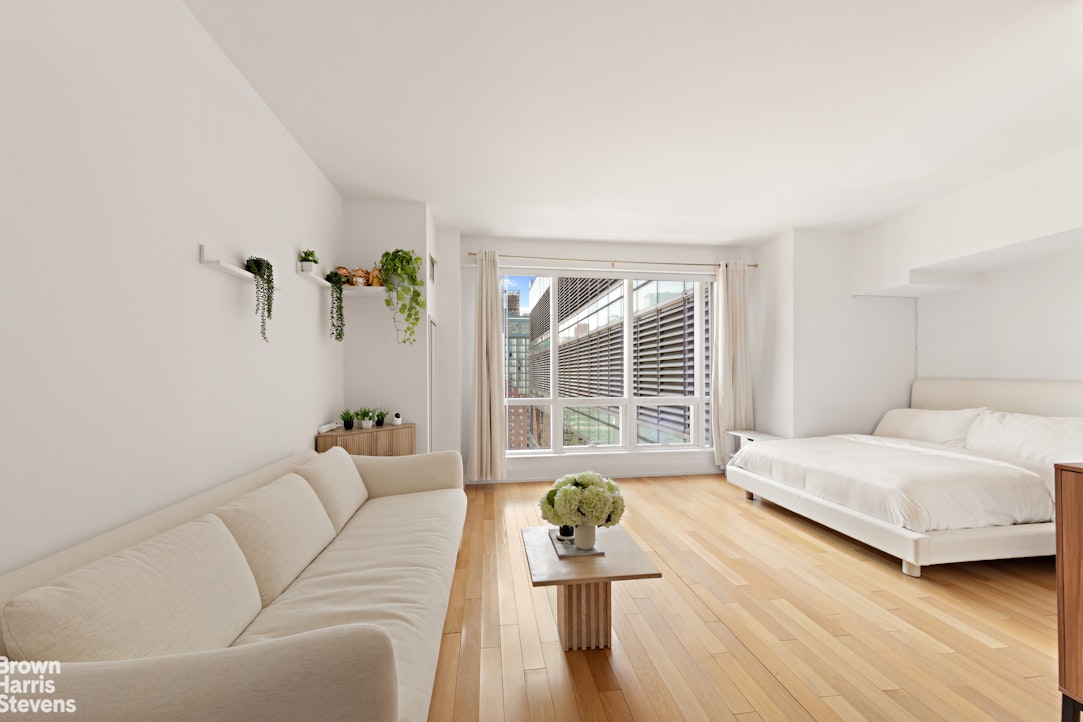 350 West 42nd Street 28H Clinton New York NY 10036