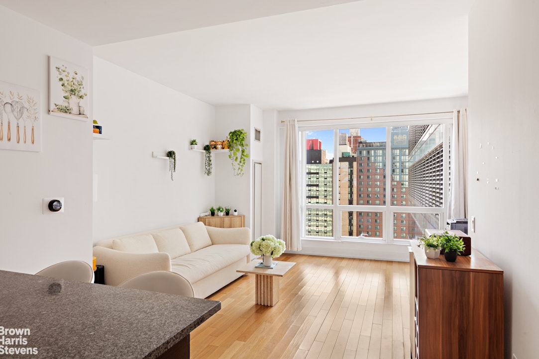 350 West 42nd Street 28H Clinton New York NY 10036
