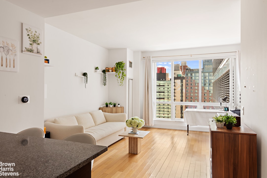350 West 42nd Street 28H Clinton New York NY 10036