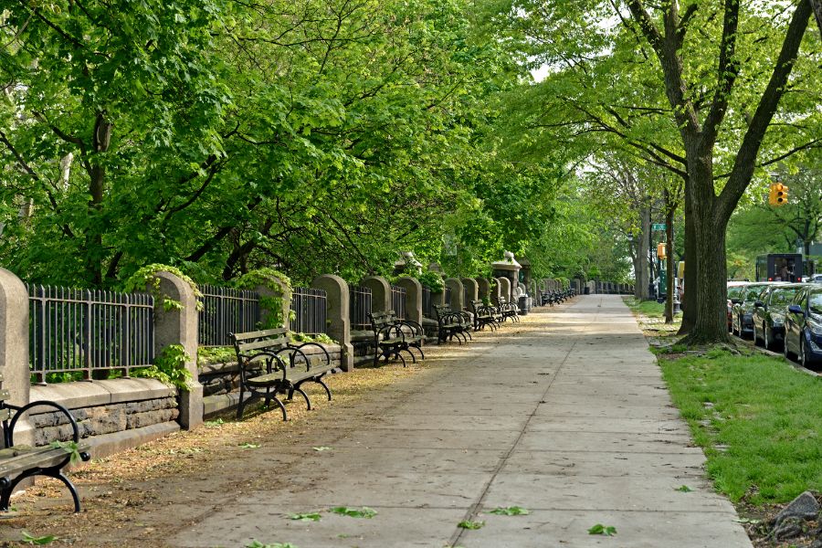 West Side Agent Maryann Johnson Reflects on Morningside Heights: A Community Built on Culture and Connection