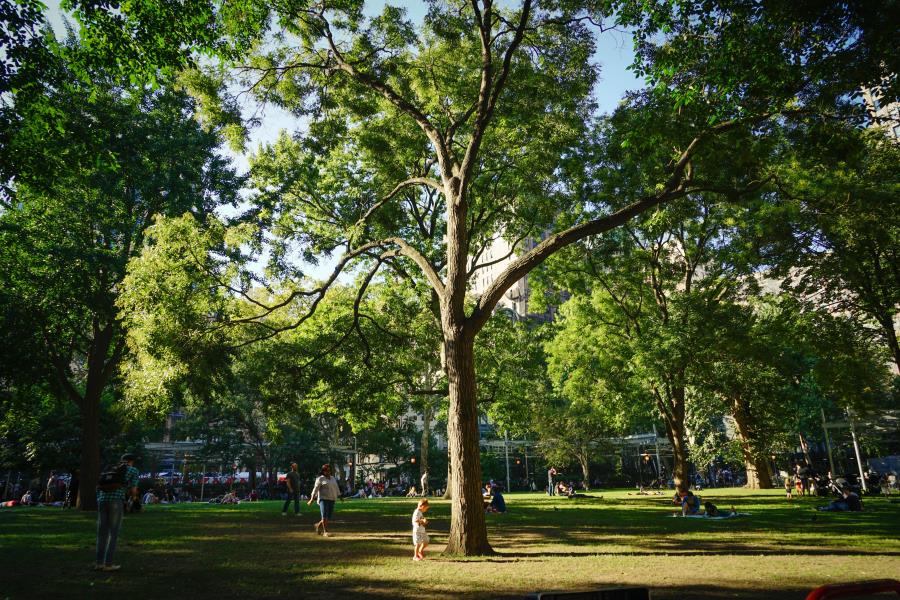 The Pleasures of Historic Madison Square Park