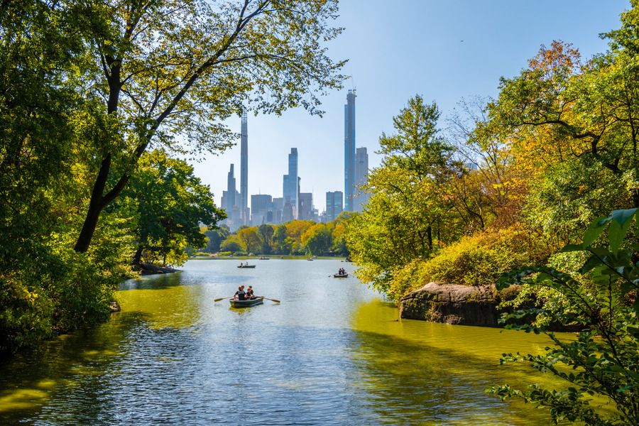 The Best Gardens and Trails to Explore in Central Park this Spring