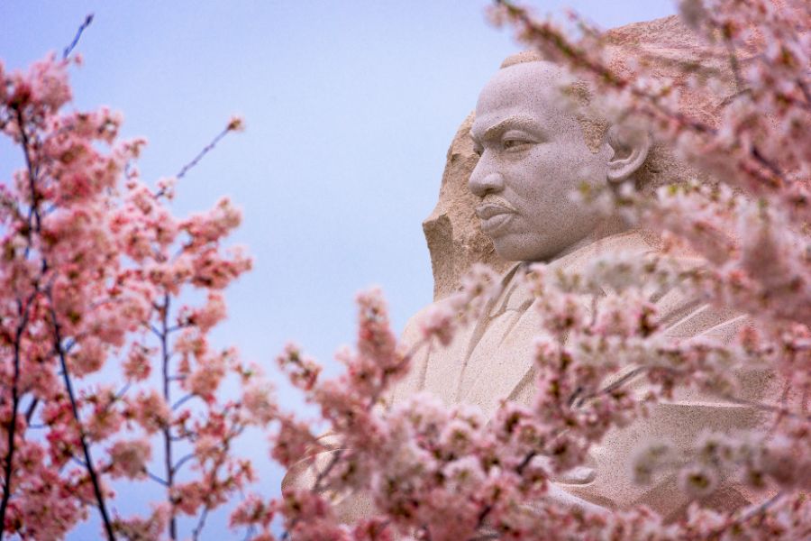 Ways You Can Give Back in Honor of Martin Luther King Jr.