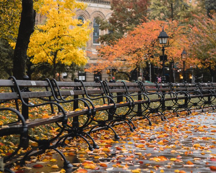 Tour Washington Square Park with the Landscape Architect Behind its Design