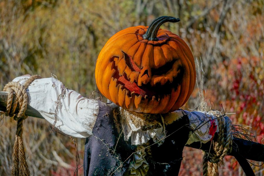 Where to Celebrate the 'Scary Season' in the Bronx