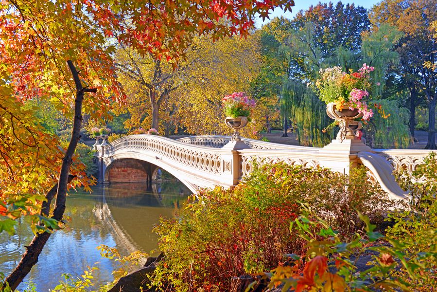 Where to See Breathtaking Fall Foliage in NYC