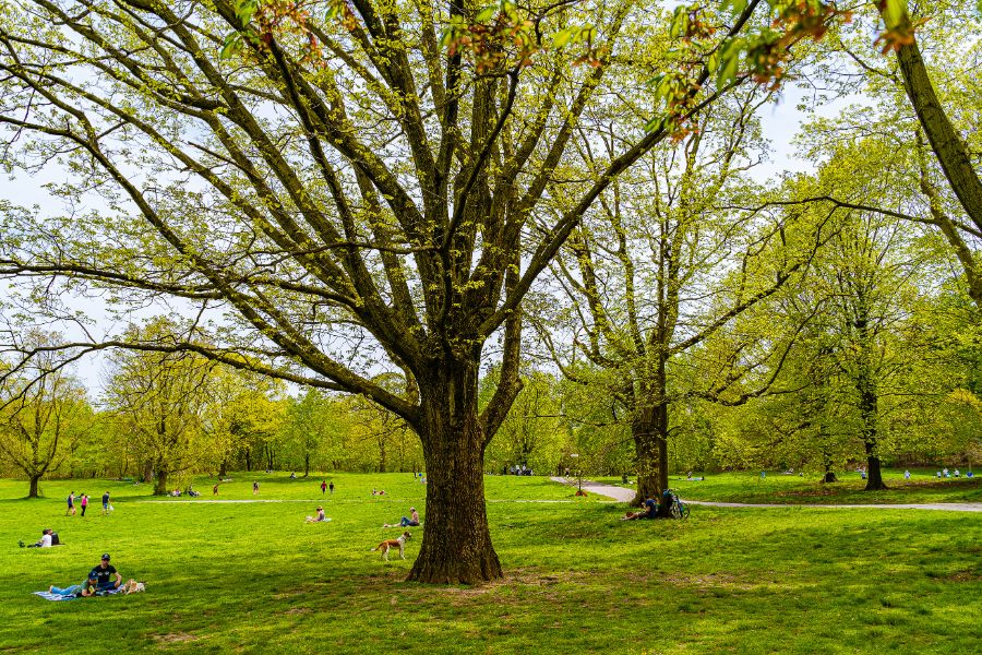 Summer in the Park: Brooklyn’s Top Picks from 3 BHS Agents