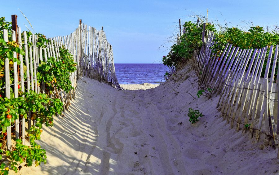 7 Must-Visit Beaches in the Hamptons