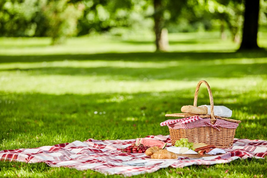 6 Spots in Central Park to Host the Perfect Summer Picnic