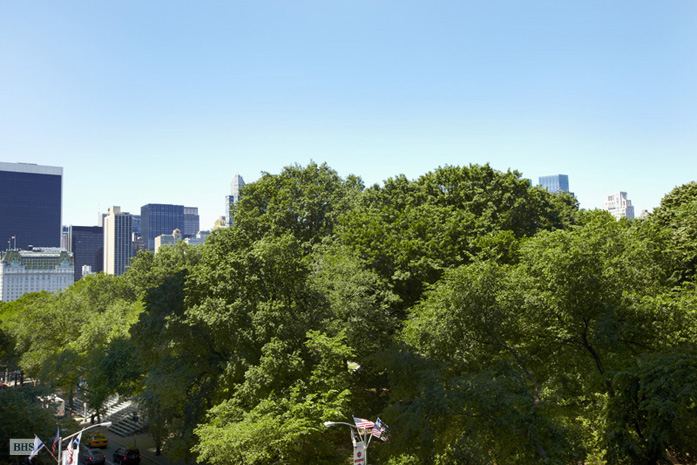 Photo 1 of 880 Fifth Avenue, Upper East Side, NYC, $2,500,000, Web #: 1231314