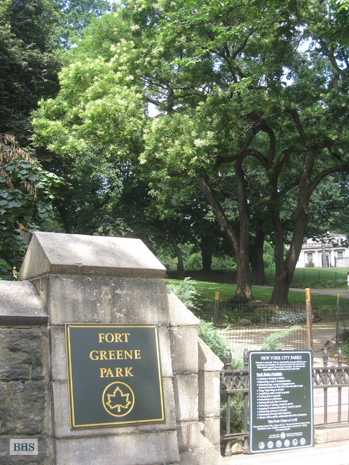 Cumberland Street, Brooklyn, New York, $6,950, Web #: 12203524