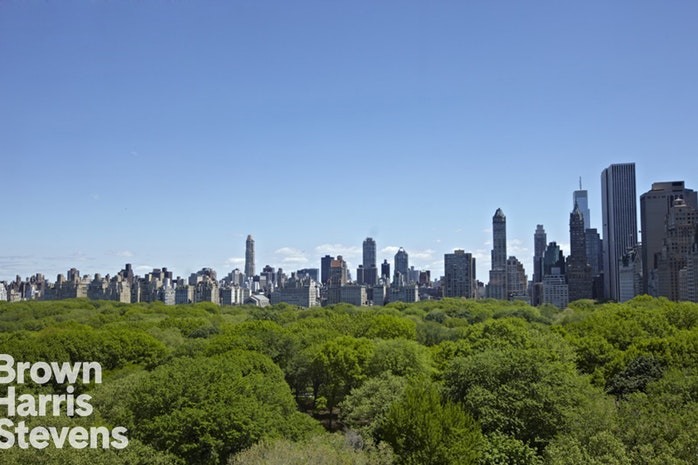 Photo 1 of 1 Central Park West 1704, Upper West Side, NYC, $1,575,000, Web #: 17949429
