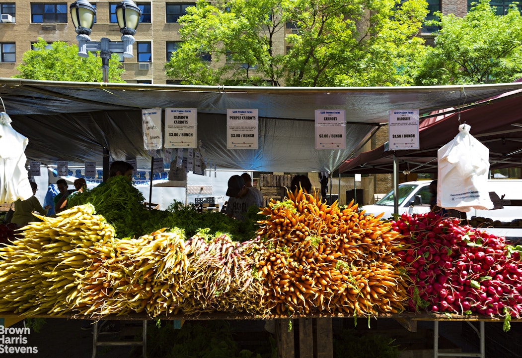 333 East 46th Street 20B Turtle Bay New York NY 10017