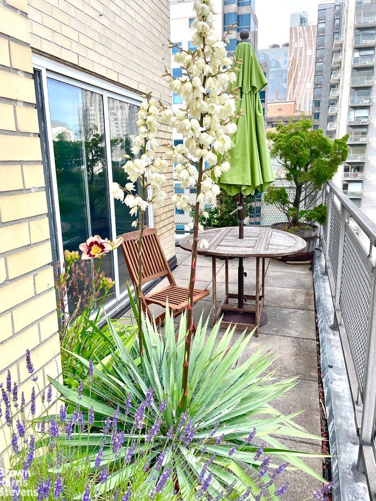 435 East 65th Street PHA Upper East Side New York NY 10065
