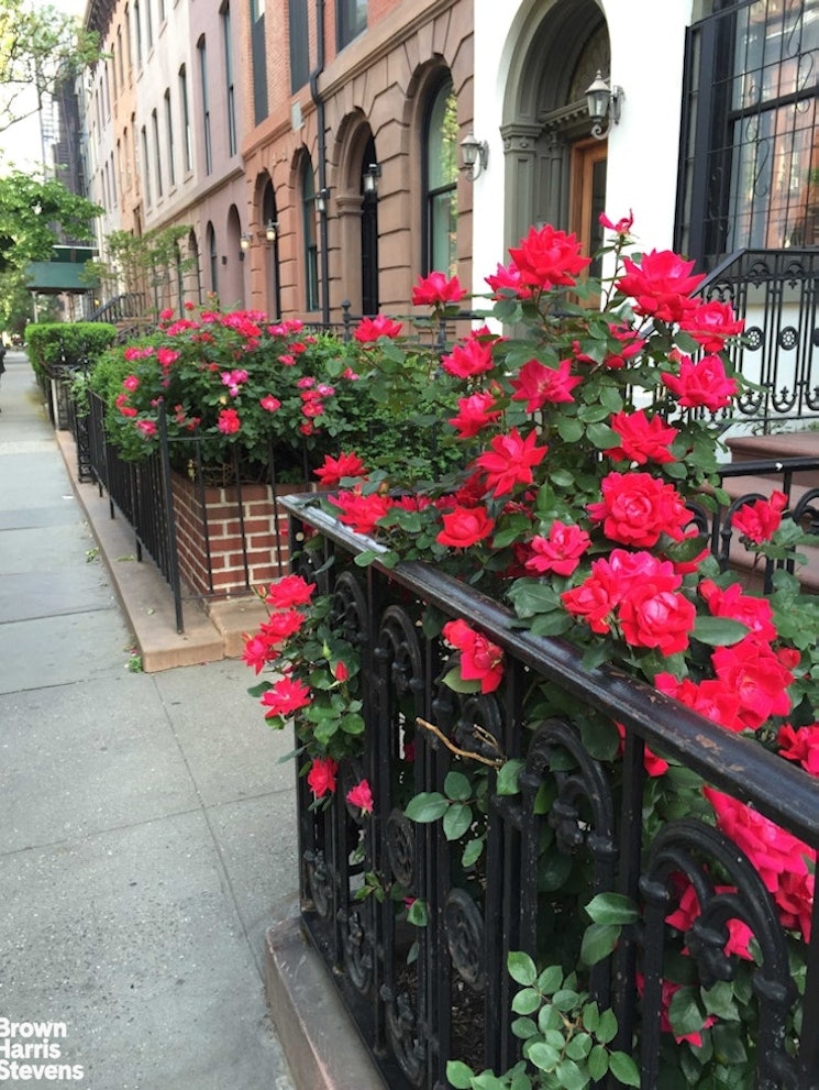 177 Ninth Avenue 5D Chelsea New York NY 10011