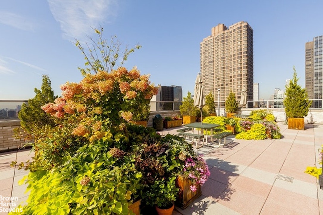 300 East 40th Street 14L Murray Hill New York NY 10016