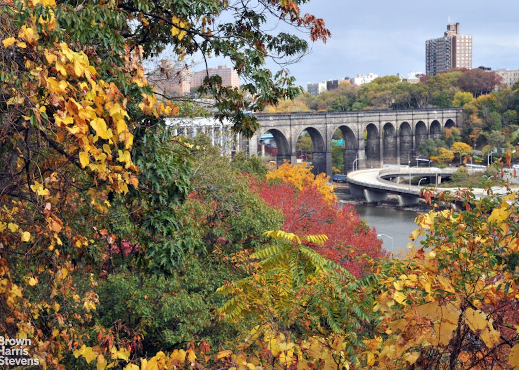 515 Edgecombe Avenue 41 Washington Heights New York NY 10032