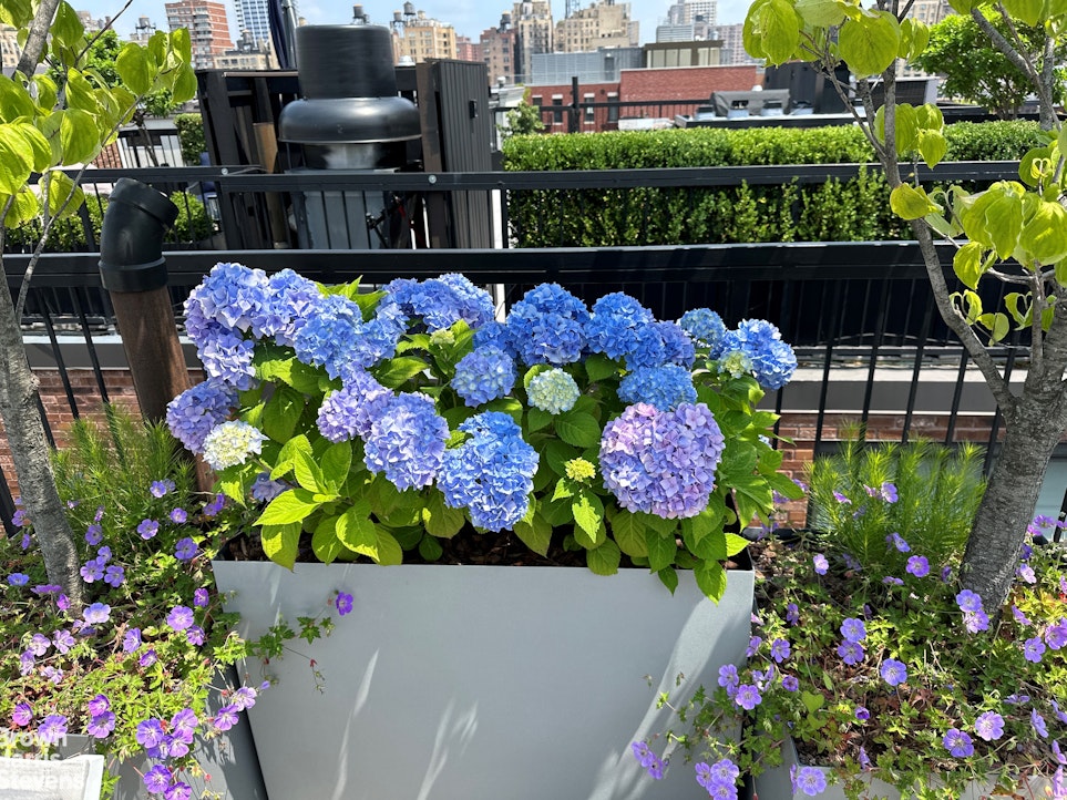 101 West 81st Street Upper West Side New York NY 10024