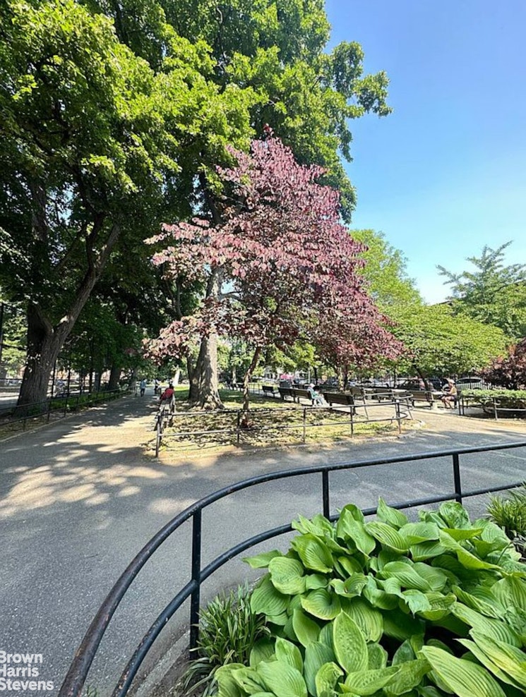 775 Lafayette Avenue 8E Stuyvesant Heights Brooklyn NY 11221