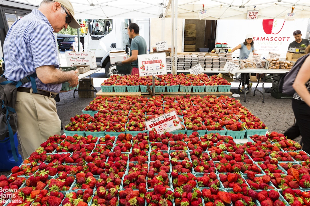 310 East 46th Street Turtle Bay New York NY 10017