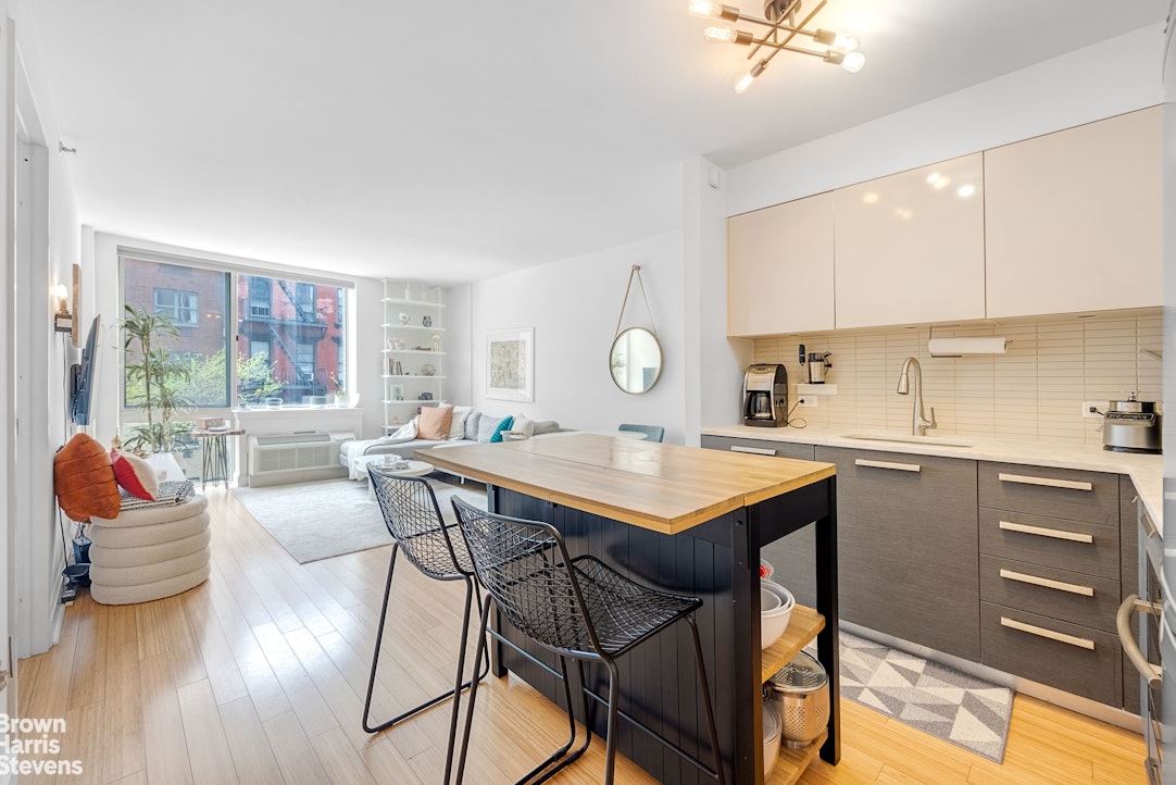 505 West 47th Street 3ES Clinton New York NY 10036