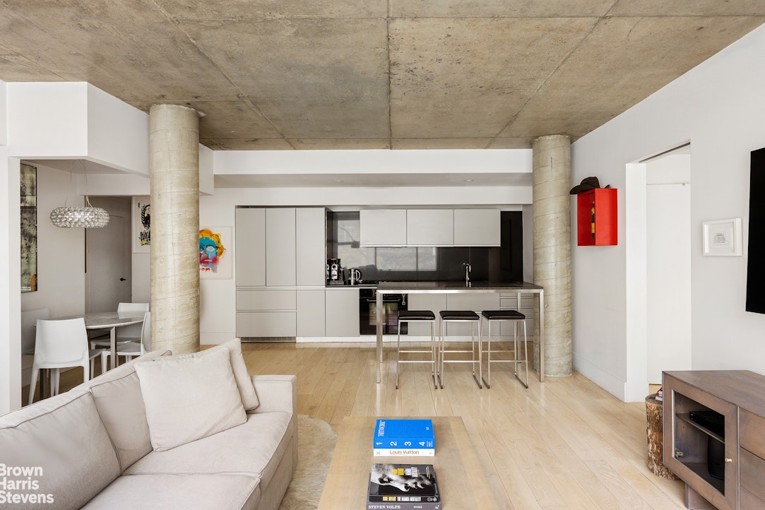 115 Norfolk Street 204 Lower East Side New York NY 10002