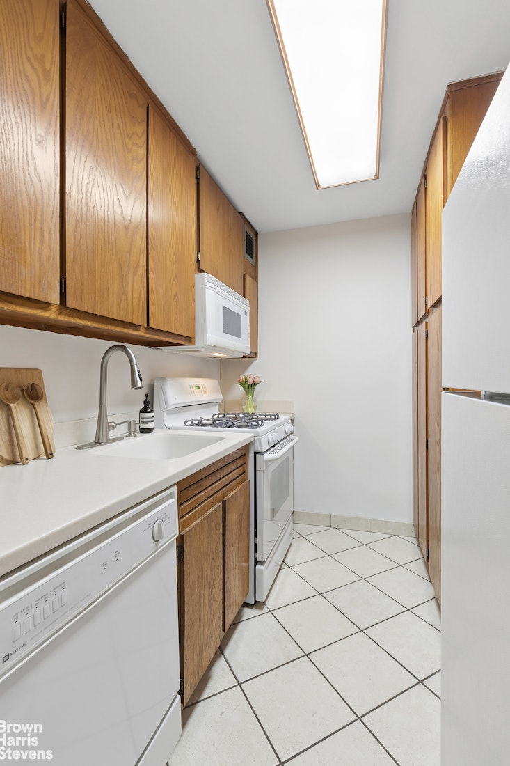 245 East 25th Street 12J Kips Bay New York NY 10010