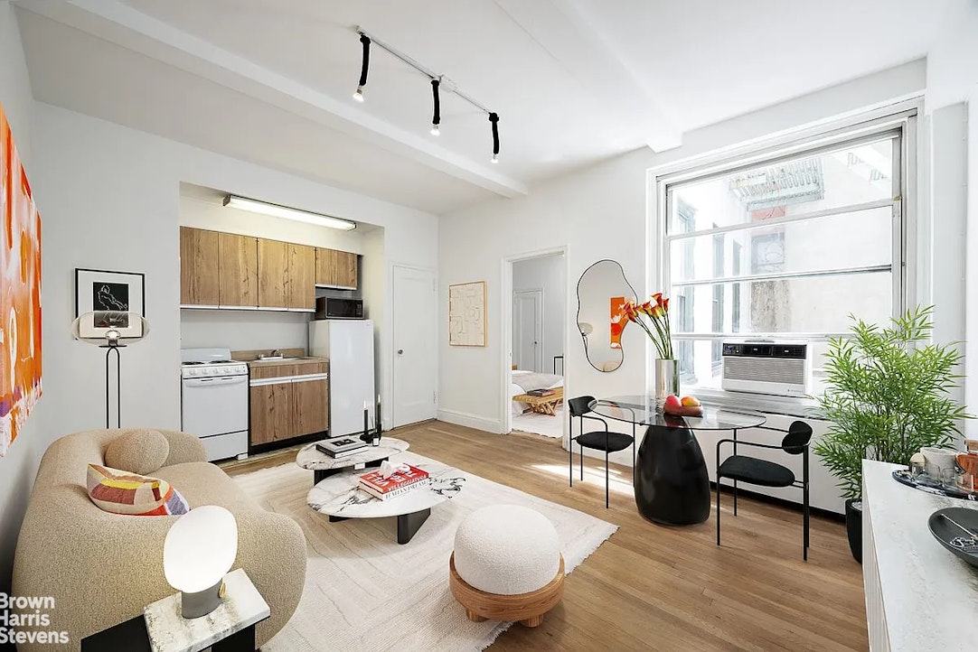 325 West 45th Street 108 Clinton New York NY 10036