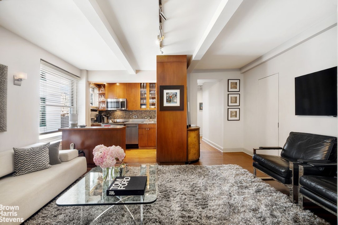 325 West 45th Street 916 Clinton New York NY 10036
