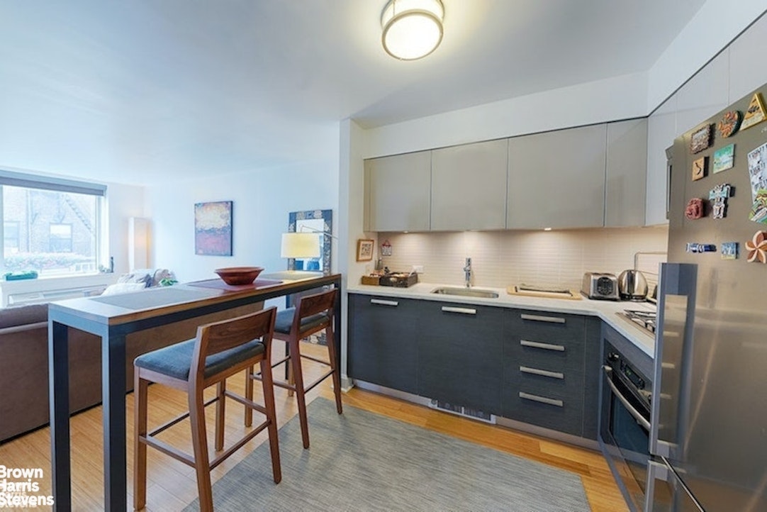 505 West 47th Street 5DN Clinton New York NY 10036