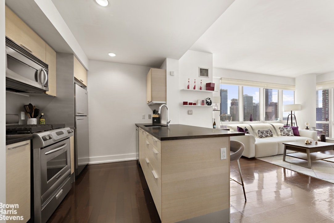 350 West 42nd Street 24A Clinton New York NY 10036