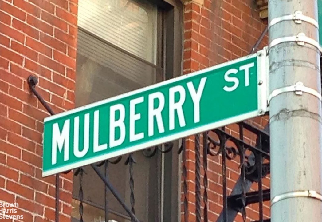 133 Mulberry Street 5A Little Italy New York NY 10013