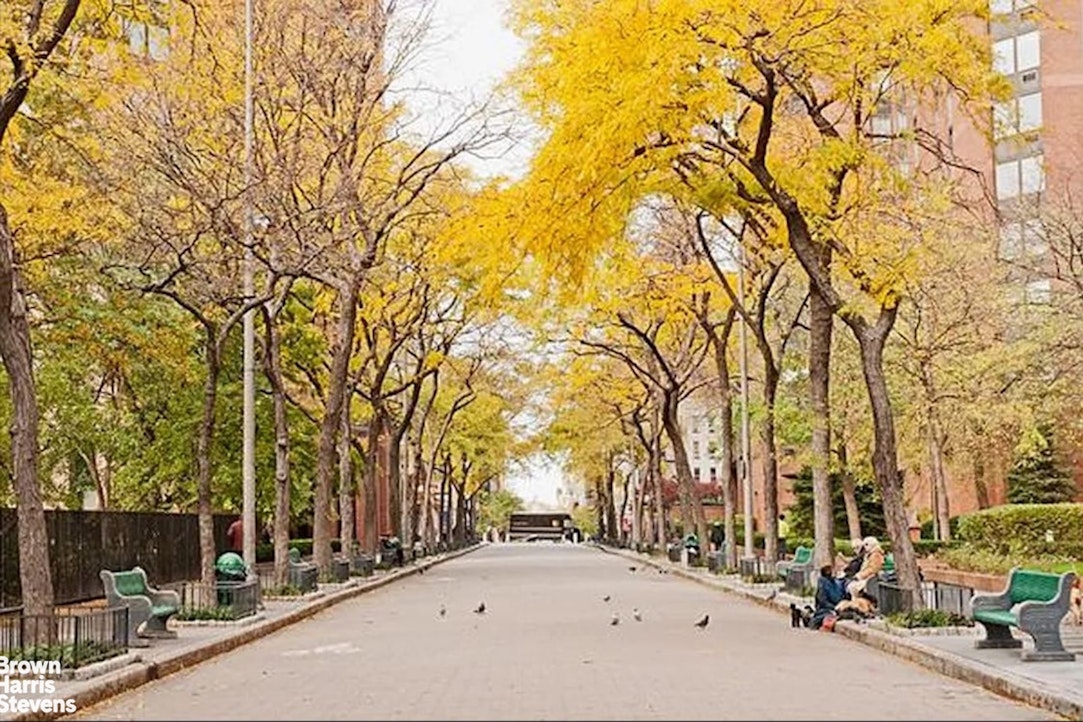 1623 Third Avenue 6A Upper East Side New York NY 10128