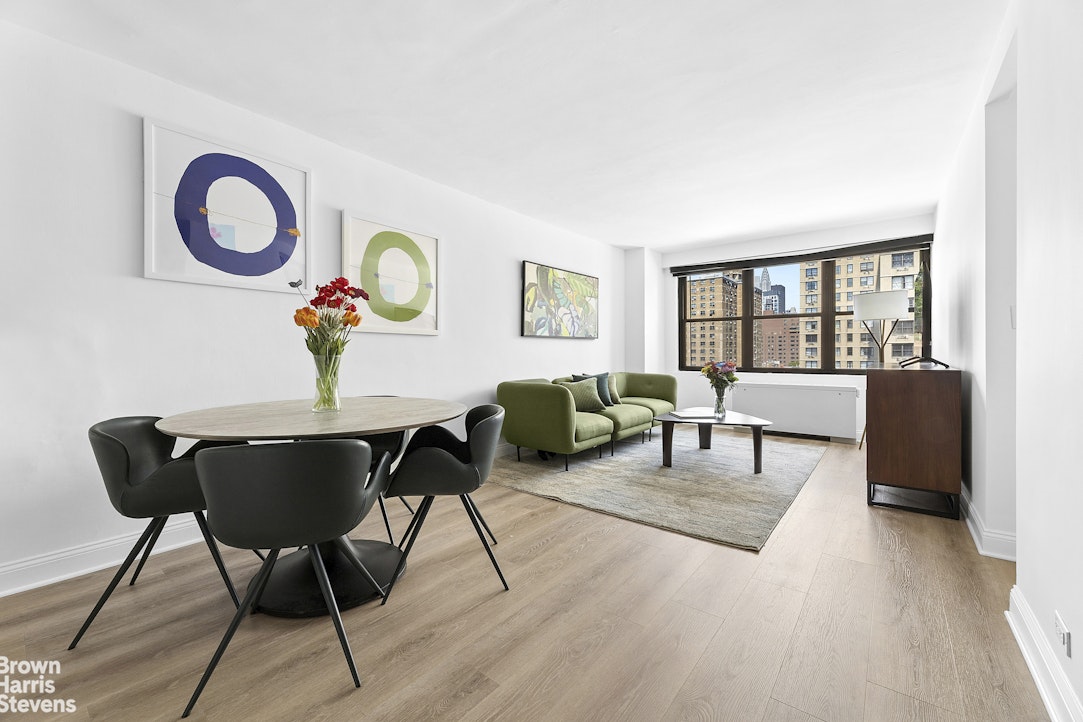 245 East 25th Street 12L Kips Bay New York NY 10010