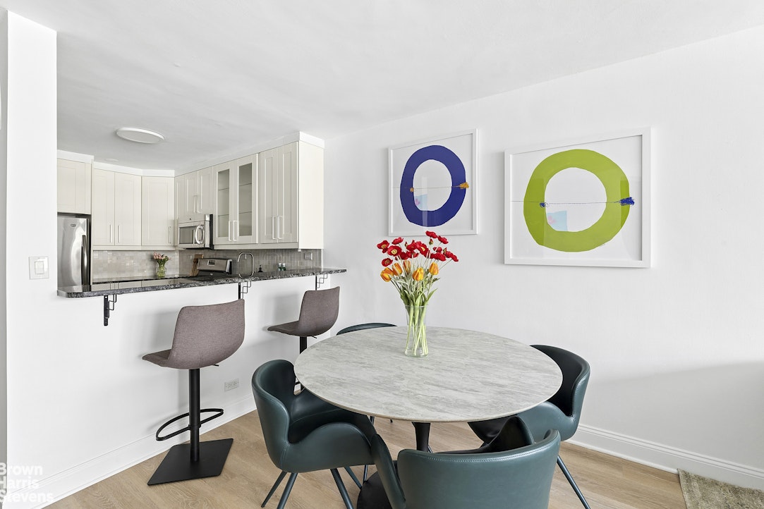 245 East 25th Street 12L Kips Bay New York NY 10010