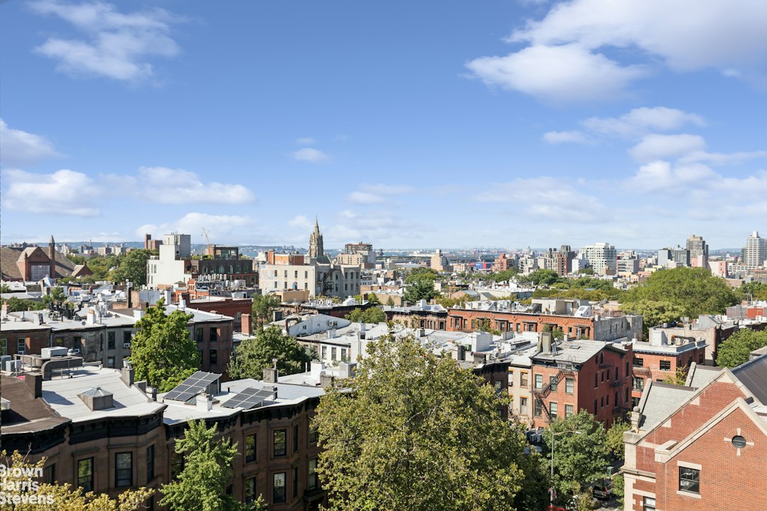 209 Lincoln Place Park Slope Brooklyn NY 11217